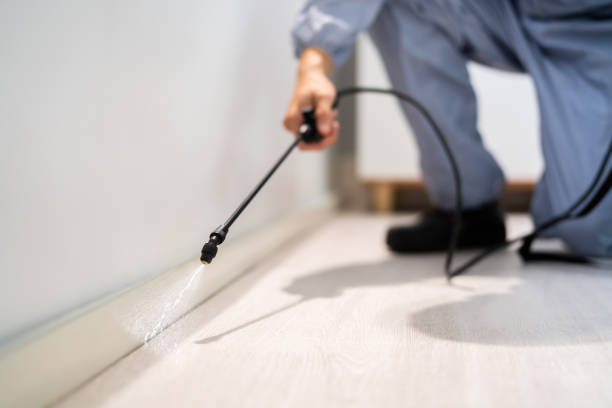 Licensed Rodent Control service in Cook County County, GA - Nex Pest Control
